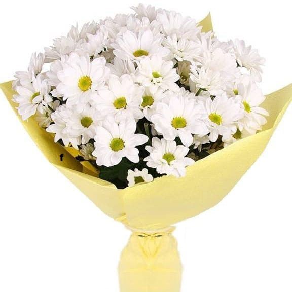 Ромашки от 5 300 руб.